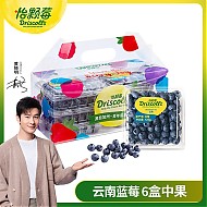 怡颗莓 Driscoll’s  当季云南蓝莓 6盒装 约125g/盒 新鲜水果礼盒