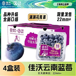 JOYVIO 佳沃 云南精选蓝莓巨无霸22mm+ 4盒装 约125g/盒 新鲜水果