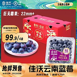 JOYVIO 佳沃 云南精选蓝莓巨无霸22mm+ 6盒装 约125g/盒 生鲜水果