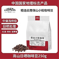 鹿家嘴 保山精品SOE咖啡豆250g 中度/中偏浅烘焙