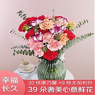 京东百亿补贴：JIANSHI 简势 品质鲜花 康乃馨30枝+10枝尤加利叶