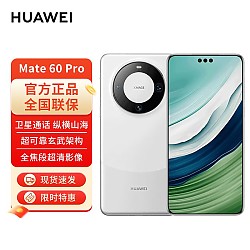 HUAWEI 华为 旗舰手机 Mate 60 Pro 白沙银 12GB+1TB