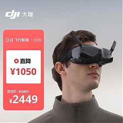DJI 大疆 飞行眼镜一体版