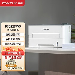 有券的上：PANTUM 奔图 P3022DWS 黑白激光打印机 白色