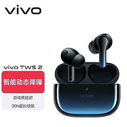 vivo TWS 2 入耳式真无线动圈降噪蓝牙耳机