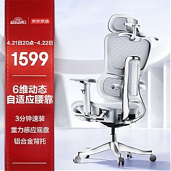 春焕新、家装季：京东京造 Master·大师系列 人体工学电脑椅