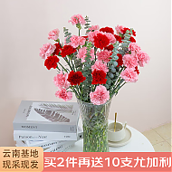 JIANSHI 简势 品质鲜花 康乃馨10枝-随机色
