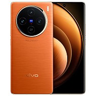 vivo X100  天玑9300 5000mAh蓝海电池 蔡司级长焦 120W双芯闪充 拍照 手机 落日橙 16G+256G