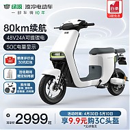 LUYUAN 绿源 48V24A锂电池 新国标电动自行车