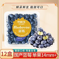 10日10点：Mr.Seafood 京鲜生 国产蓝莓 12盒 15mm+ 新鲜水果礼盒 源头直发 包邮